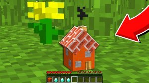 Я скрафтил САМЫЙ МАЛЕНЬКИЙ ДОМ в Майнкрафт БЕЗ МОДОВ