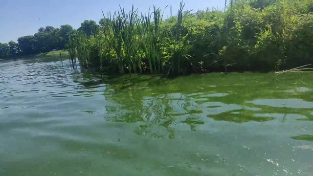 Перша моторна лодка ⛵ на нашому ставку 👍 смотреть онлайн