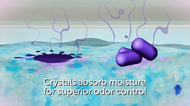 ScoopFree® Self-Cleaning Litter Box with a Top-Entry Hood смотреть онлайн