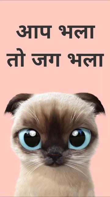 Hindi kahavate in English | New video #short #timeenglish смотреть онлайн