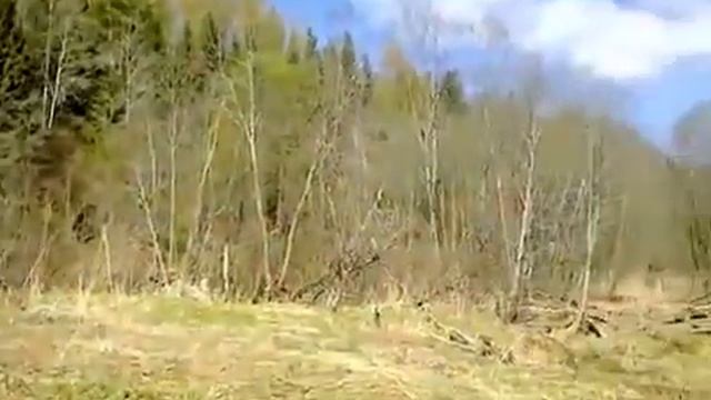 Чёрные копатели кидают магниты в реку Держа смотреть онлайн