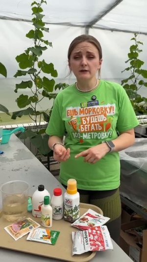 КОГДА ПОДКАРМЛИВАТЬ РАССАДУ ПОСЛЕ ПЕРЕСАДКИ