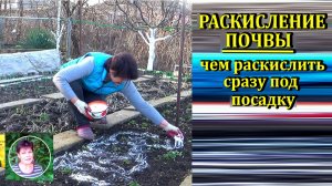 Чем можно раскислить почву весной по растущим культурам когда известь применять нельзя