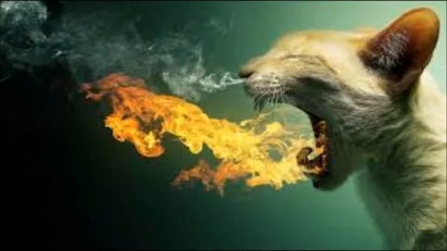 Hard Trap Beat 'Animal' (Trap Beat #110) *FREE* смотреть онлайн