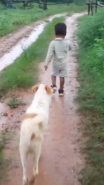 video Pura dekhe 🤣🤣viral#funnyvideos#shorts#comedy#viral#funny #pushpendra # смотреть онлайн