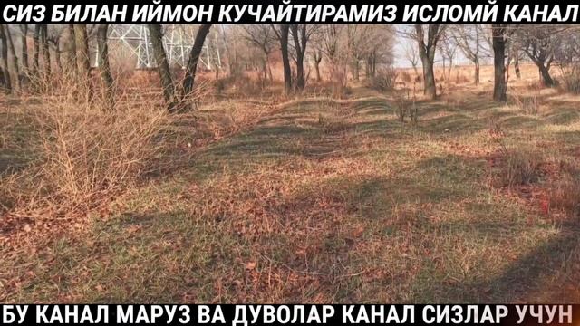 БУ ИШИНИ КЎРИБ ДАНГАСАЛАР АХВОЛИ ДЕГИН КЕЛАДИ 😰❌ шукуруллох домла смотреть онлайн