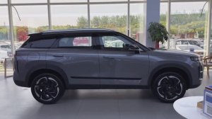 Chery Tiggo 7 C-DM 2025 - Интерьер и Экстерьер