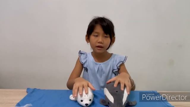 Cabbie Kao - My tree house's eco storytelling contest 2021 смотреть онлайн