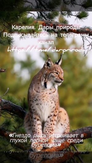 YouCut_20250420_211638392.mp4