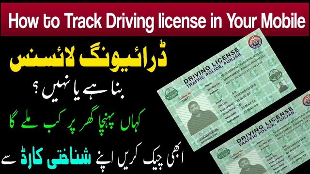 How to Track driving licence delivery in Pakistan | How to check driving license status online смотреть онлайн