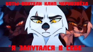 Коты-Воители клип Чернозвёзд "Я запутался в себе"