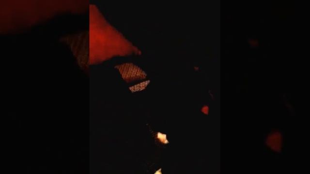 Мучитель кошек смотреть онлайн