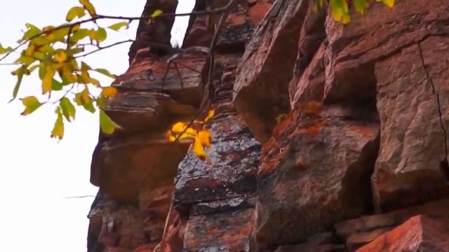 264. Видение " тонкого мира " от Лены Калашниковой. 19.10.2020г. Операторы человеческих судеб. .. смотреть онлайн