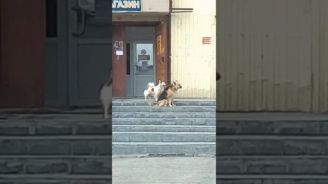 Весна пришла смотреть онлайн