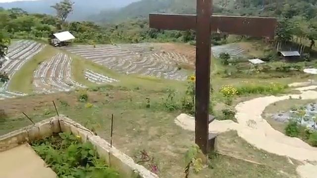 Samahan nang mga ero sa province nang bohol😂😂😂😇😇🤪🤪😜😜 смотреть онлайн
