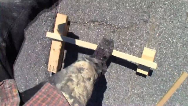 Birch vs MDF... Better Strength? Is Plywood or Fiberboard Strongest Wood For Subwoofer Boxes? смотреть онлайн