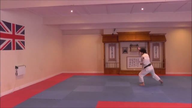 Nijushiho kata by Tiru Jr Katsu sensei of Shuhari Shotokan Karate Association смотреть онлайн