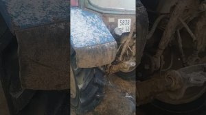 Резина Кама на мтз 82.