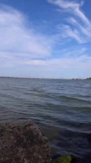 великий піленгас #shortvideo #short #shortsvideo #fishing #рибалка #рибалкавукраїні смотреть онлайн