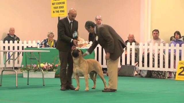 WELKS Championship Dog Show 2014 - Working group смотреть онлайн