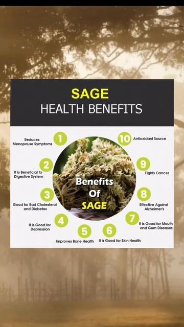 Sage Health Benefits смотреть онлайн