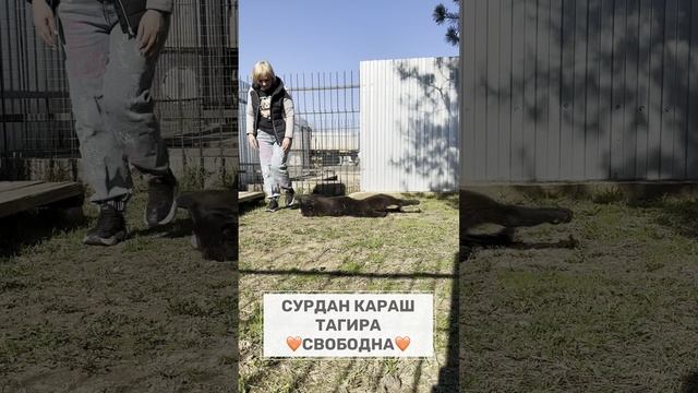 СУРДАН КАРАШ ТАГИРА (❤️СВОБОДНА❤️) +79201694289