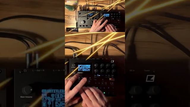 Dawless jam on Digitone 2 #dawlessjam #synth #sounddesign #dawlessproduction смотреть онлайн