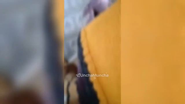 3 КУНЛИК КЕЛИНЧАК ШАРМАНДА БУЛДИ/YANGI KELINCHAK SHARMANDA BO'LDI.