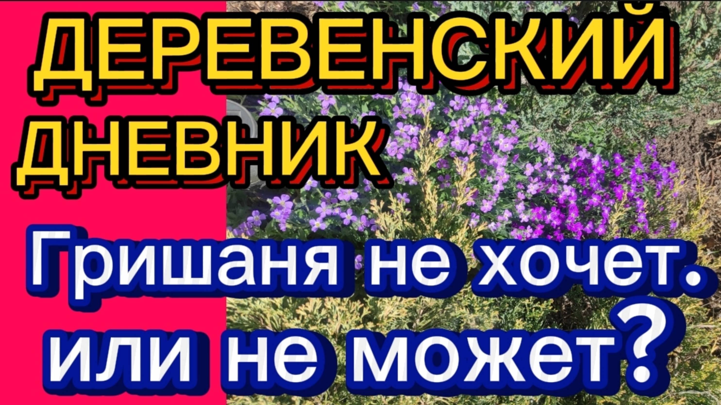 ДЕРЕВЕНСКИЙ ДНЕВНИК. "НЕХОЧУХА" смотреть онлайн
