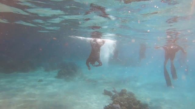 Isla Verde - Fishing & Freediving Trip
