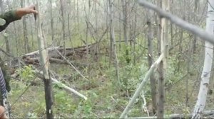 Делаем Кулемку, Для Охоты На Куницу Или Соболя