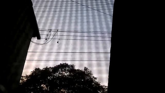 abispa venenosas смотреть онлайн