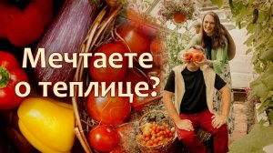 Не покупайте теплицу, пока не посмотрите! 5 секретов хорошей теплицы от экспертов