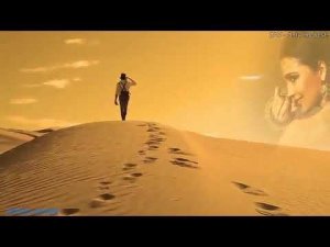 А он бродяга, по жизни холостой...