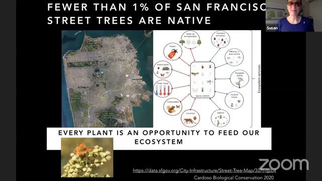 Gardening for San Francisco’s Butterflies and Pollinators смотреть онлайн