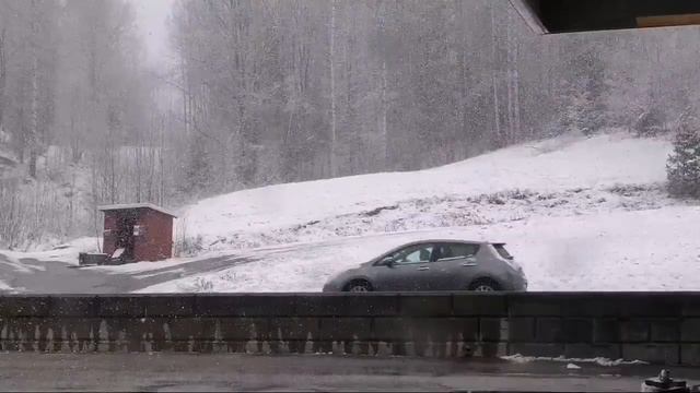 2. april 2020 Срочно! Нападение белых мух!!!! смотреть онлайн