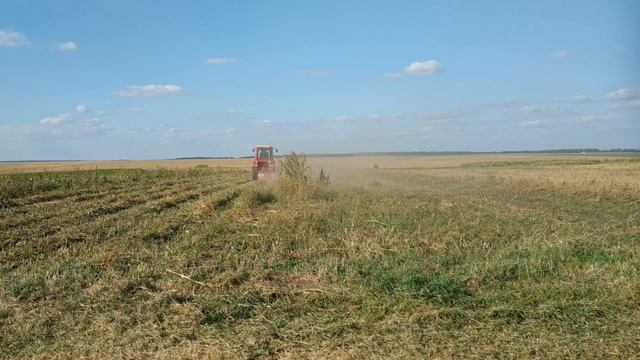 КОСИМ КАРТОФЕЛЬНУЮ БОТВУ ТРАКТОРОМ Т-25/WE MOW THE POTATOES WITH THE T-25 TRACTOR смотреть онлайн