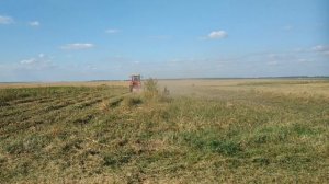 КОСИМ КАРТОФЕЛЬНУЮ БОТВУ ТРАКТОРОМ Т-25/WE MOW THE POTATOES WITH THE T-25 TRACTOR