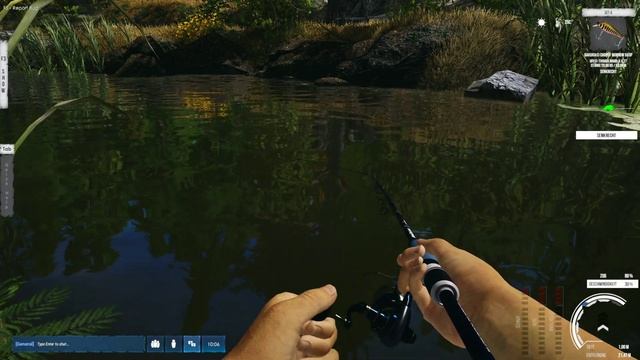 Ultimate Fishing Simulator 2 | Gameplay | Deutsch | #38 - Keta-, Silber- und Buckellachs ! смотреть онлайн