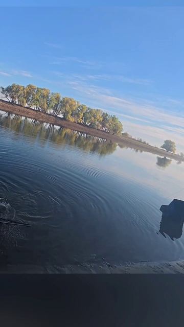 Астрахань Весна 2025 Сазан пошел!