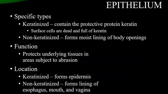 Histology of Epithelium & apical cell surface modifications | lect 1 | Dr Shehla Aman смотреть онлайн