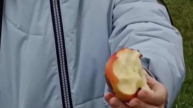 Интерьвью нашего корреспондента Алексея Х. смотреть онлайн