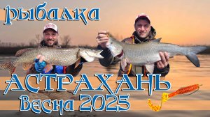 Рыбалка Астрахань весна 2025
