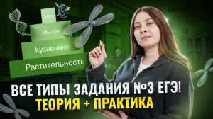 ВСЕ типы 3 задания биология ЕГЭ | Биология ЕГЭ для 10 класса | Умскул