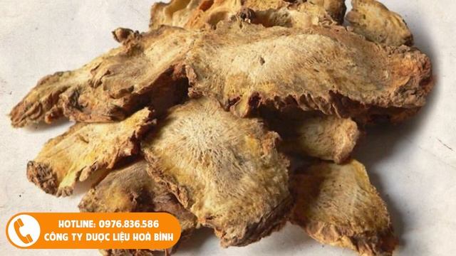 Chi Tiết Công Dụng Cây Thuốc Độc Hoạt || Dược Liệu Hoà Bình смотреть онлайн