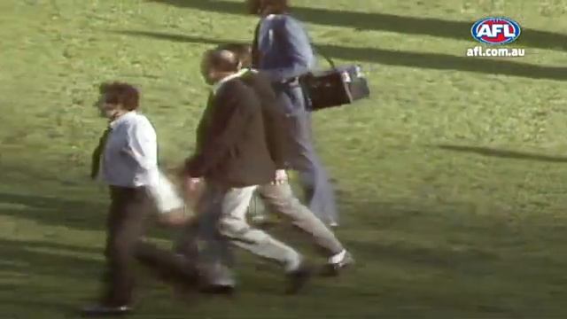 A True Tiger Immortal