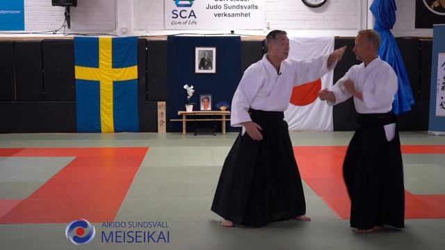14 Aikido More About Tainotenkan Ho, Differential, Gyaku Hanmi Ikkyo, Shishiya Sensei Sundsvall 2023
