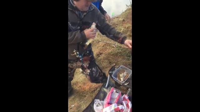 ПРИКОЛЫ НА РЫБАЛКЕ #1 смотреть онлайн