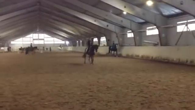 Сакура 2 14.02.16