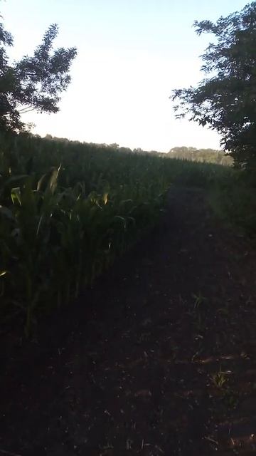 Проверка роевни